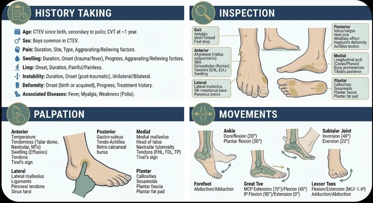 Foot & Ankle General Examination Orthopedic Special Test