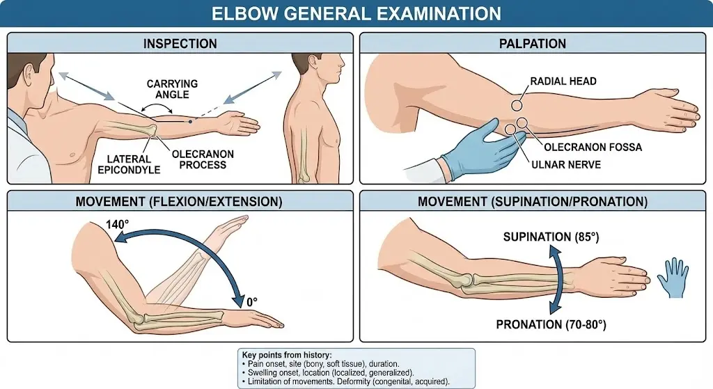 Elbow General Examination Orthopedic Special Test