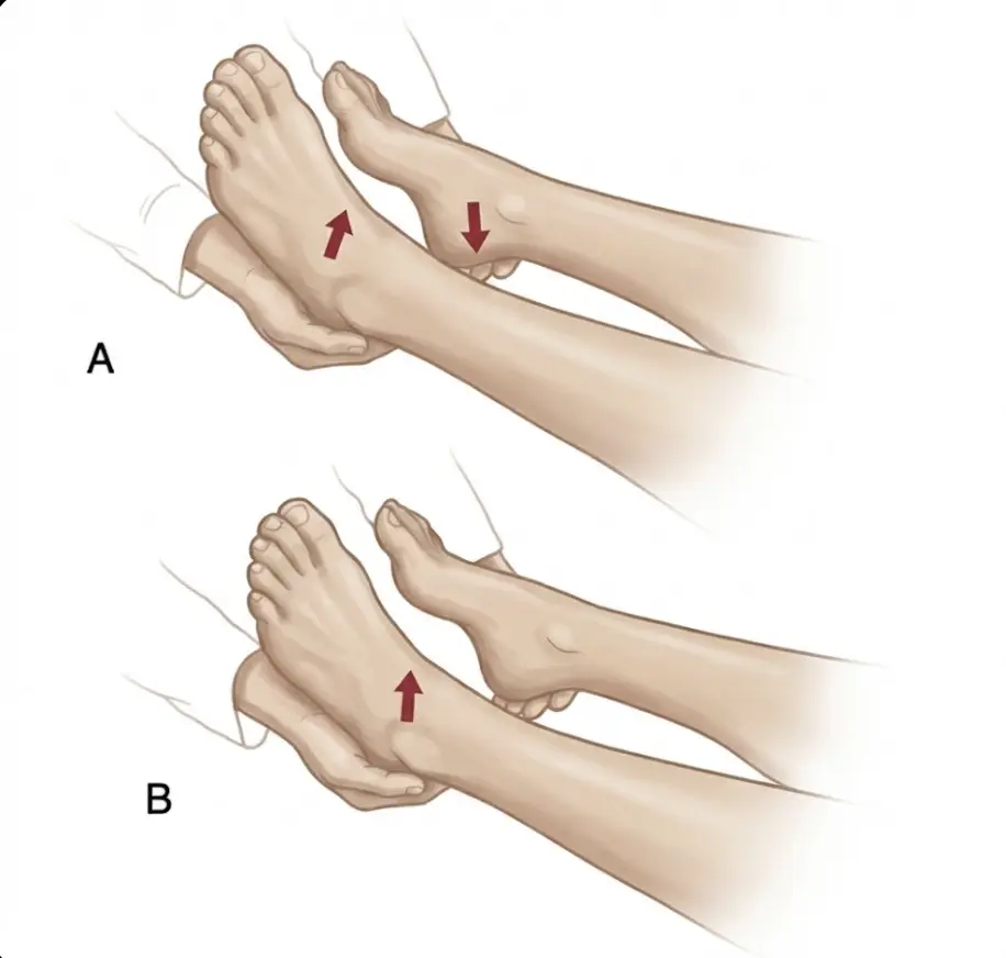 Hoover Test Orthopedic Special Test