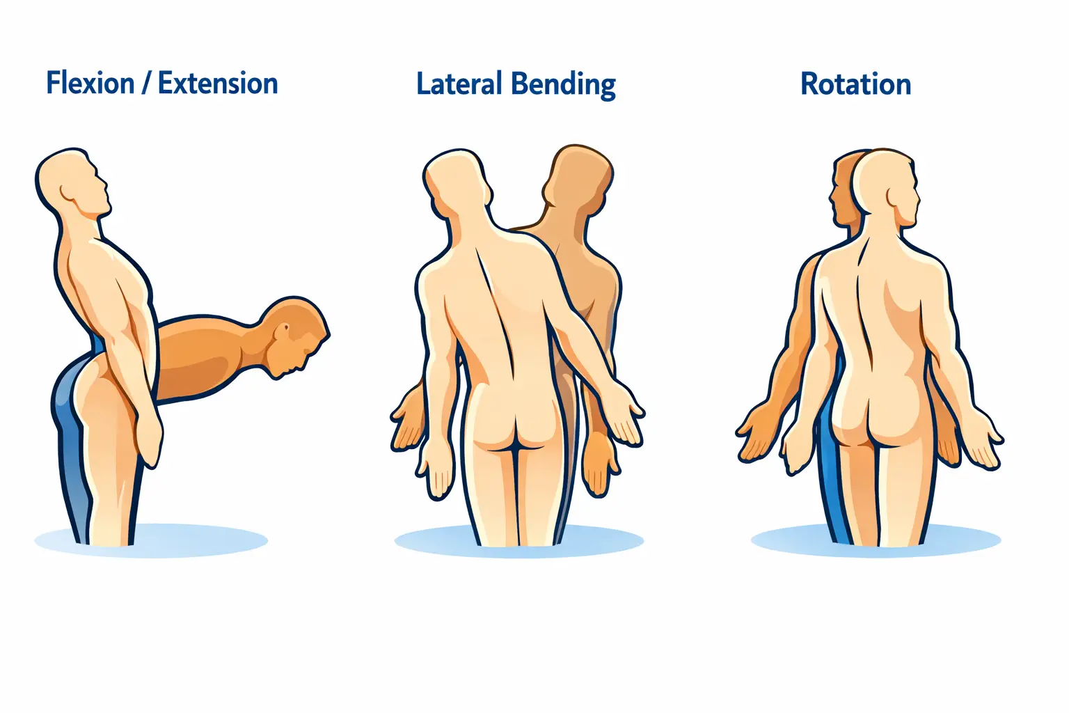 Spine Range of Motion Orthopedic Special Test