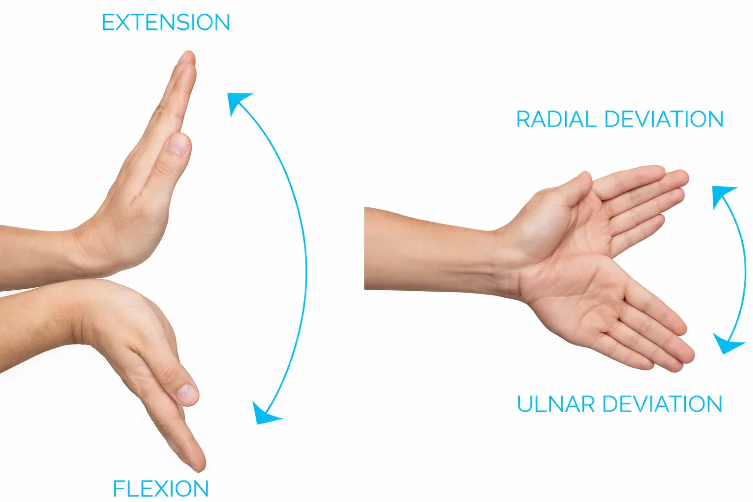 Wrist Range of Motion Orthopedic Special Test